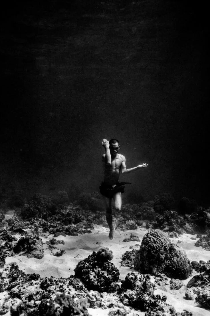 freediving - Samui Travel Blog Villa Finder