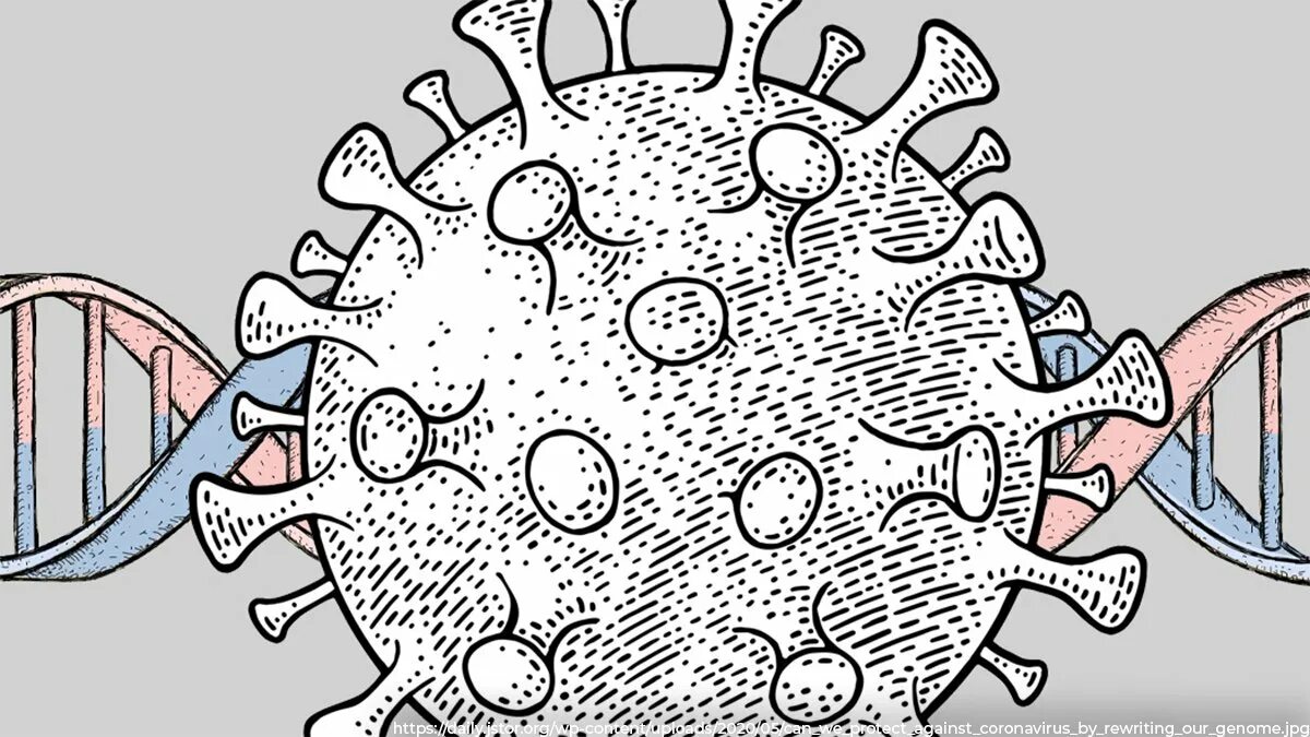 Вирус ковид 19. Ковид-19 рисунок вируса. Коронавирус рисунок. Нарисовать коронавирус. Камеди ковид