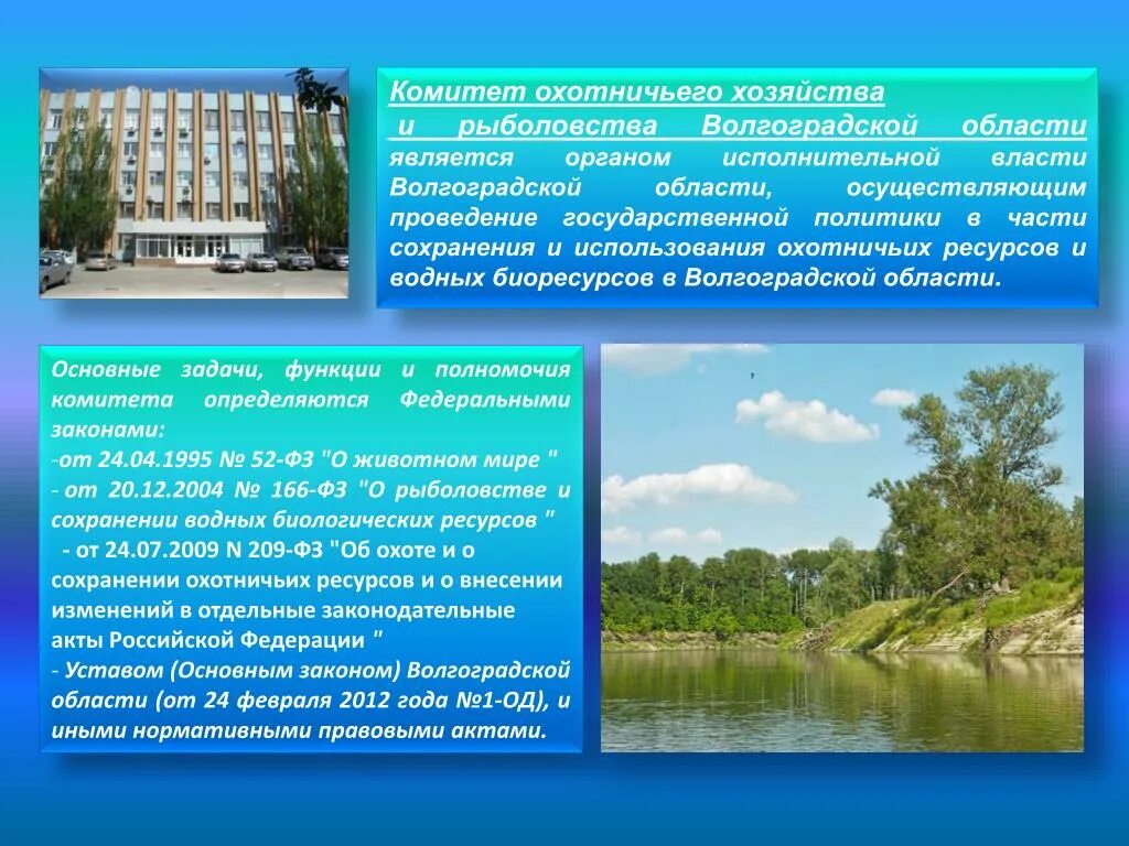 Водные богатства волгоградской области 2 класс. Водные ресурсы Волгоградской области. Комитета охотничьего хозяйства и рыболовства Волгоградской области. Экономика Волгоградской области. Водные богатства Волгоградской.