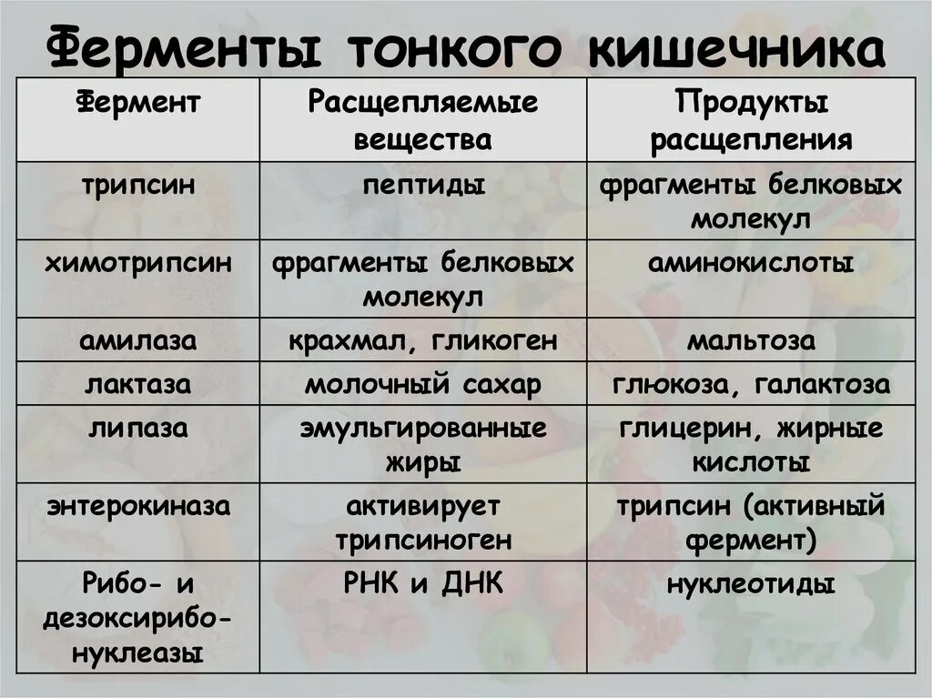 Какой сок в толстом кишечнике. Ферменты тонкой кишки таблица. Ферменты тонкого кишечника таблица. Ферменты тонкого кишечника. Ферменты сока тонкого кишечника.