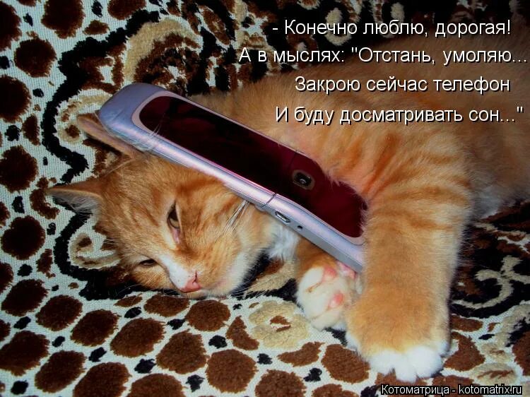 закрывай сейчас. закрывай сейчас. аркадий мем фото. ты не вовремя. пришел не вовремя.