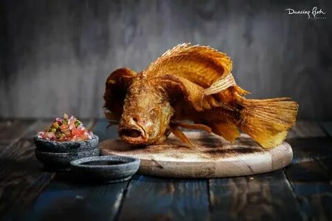Dancing fish