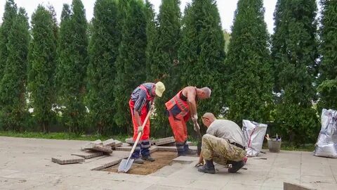 Общественная клина