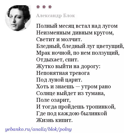 Стихи блока встану я в утро туманное. Стихотворение блока полный месяц встал над лугом. Стих блока полный месяц.