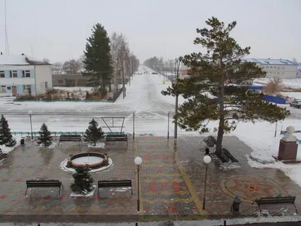 Погода дегтярка алтайского края
