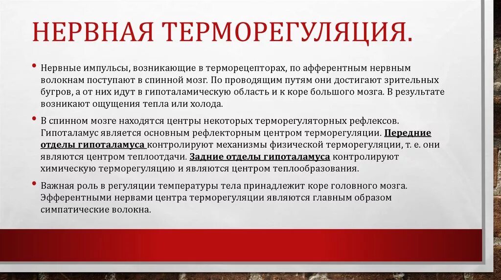 Нервный механизм терморегуляции. Нервные механизмы терморегуляции физиология. Нервная регуляция терморегуляции. Нейрогуморальная регуляция теплоотдачи. Участвует в регуляции температуры тела