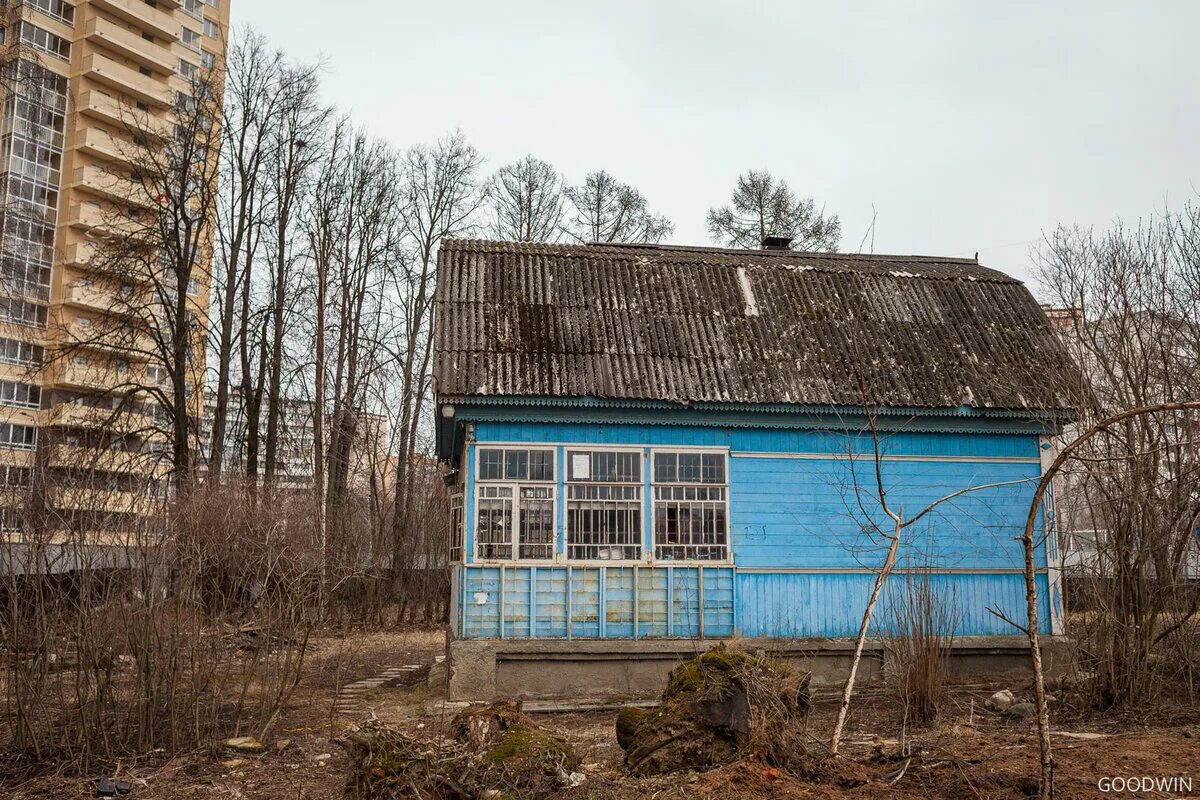 Тайна синего домика в одинцово. Синий дом в одинбурге одинцово. Тайна синего домика в одинцово. Синий домик в одинцово 2023. Тайна синего домика в одинцово.