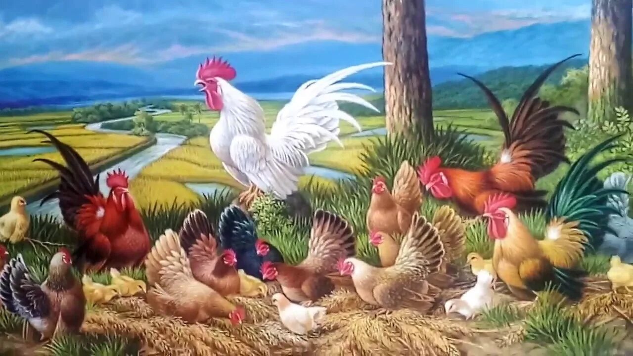 Ушинский к. Манакова м. Домашние птицы тема в детском саду. Курица петух гусь утка индюк. Обитатели птичьего двора.