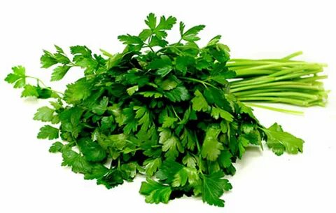 Parsley перевод на русский