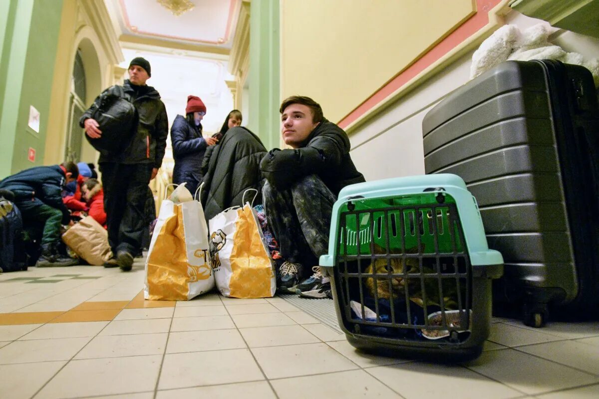 Гуманитарные коридоры на Украине. Гуманитарный коридор. Эвакуация беженцев. Прием беженцев.