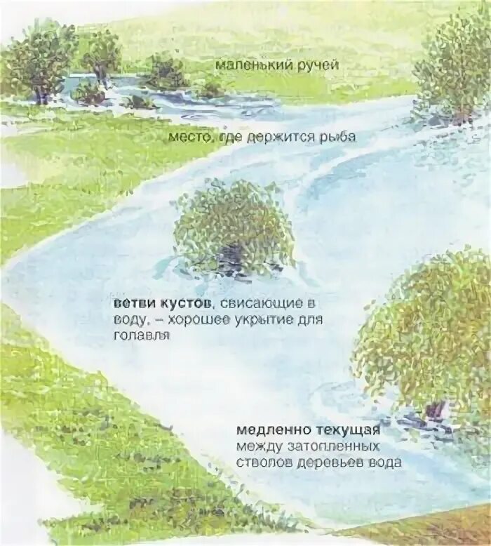 Как ловить рыбу в половодье