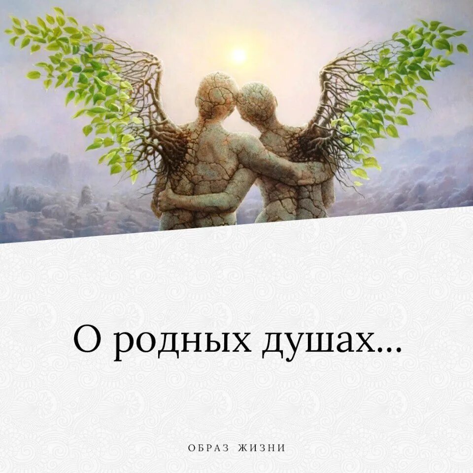 Родная душа 2021. Родная душа. Родная душа. Родная душа 2021. Родные души 2021.