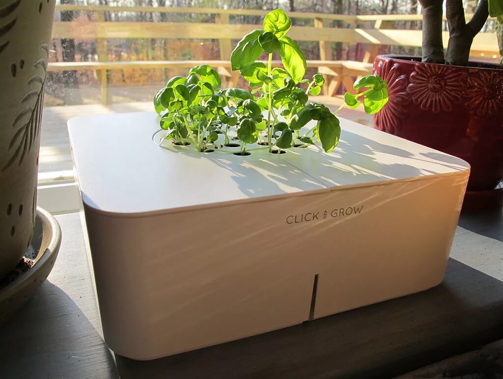 Click and grow. Зелень в горшке. Умный сад smart garden. Умный сад click and grow 9. Умный сад smart garden.