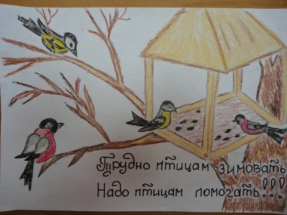 Как помочь животным в зимнее время рисунок. Плакат берегите птиц. рисунок на тему покормите птиц. рисунок на тему берегите птиц. берегите птиц зимой.