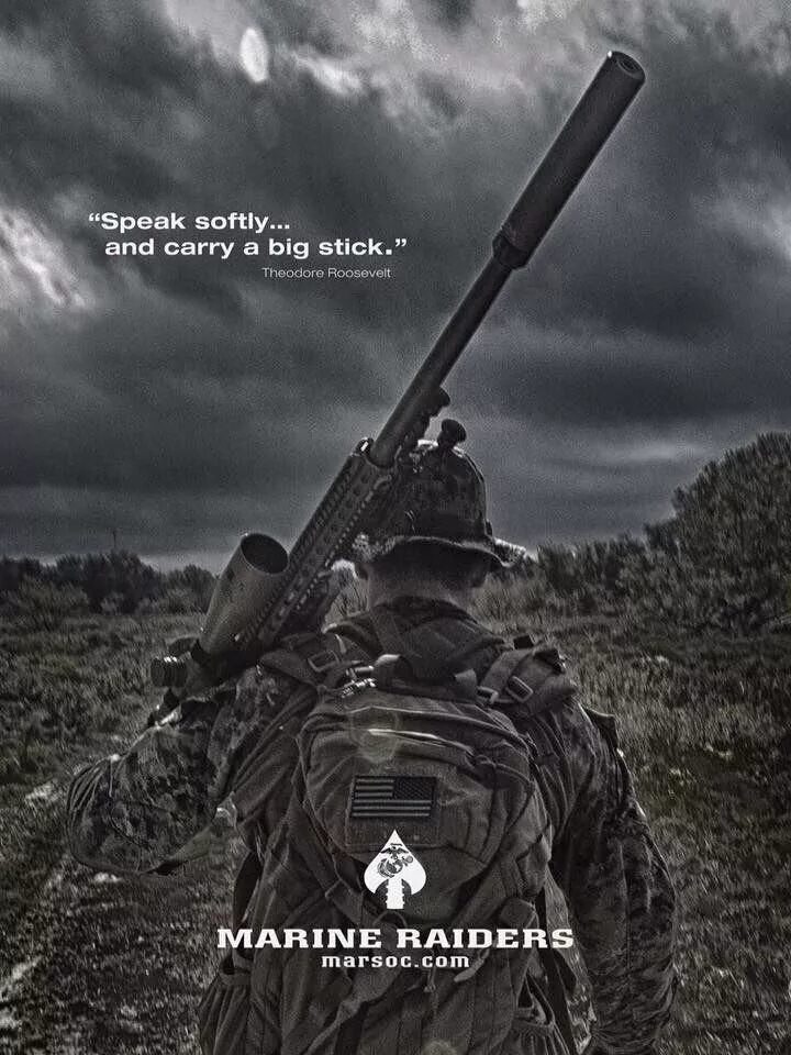 MARSOC Marine Raiders. Speak Softly and carry a big Stick. Логотип Raider Marine. Военная мотивация.