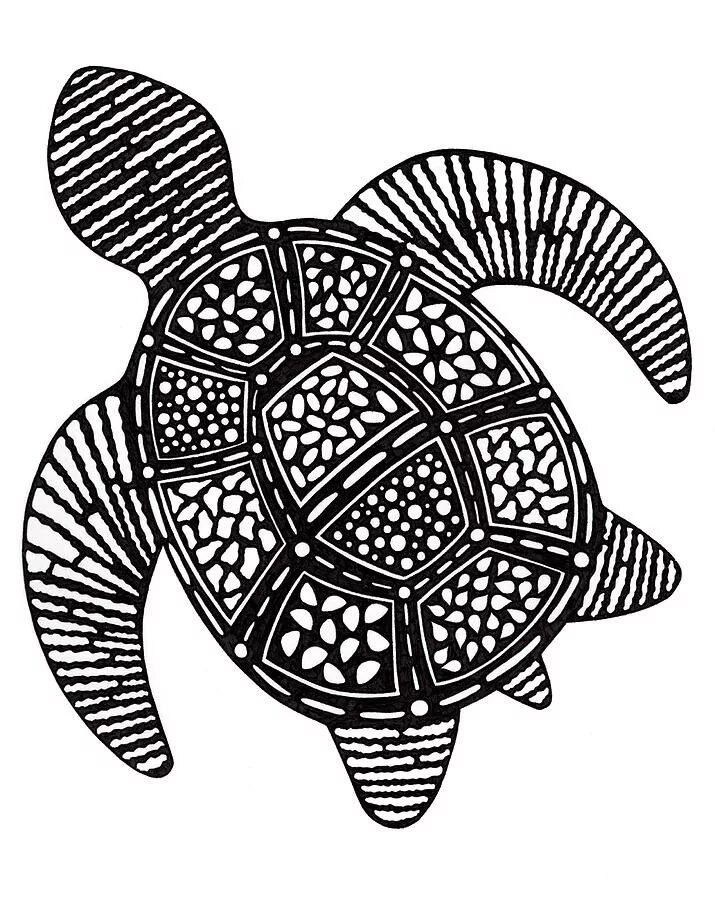 Turtle shape. Стилизация черепахи. Стилизованная черепаха. Черепаха орнамент. Черепаха рисунок.