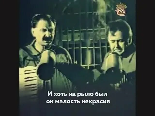 Олейник и стоянов песня. Олейник и стоянов песня