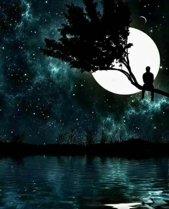 Midsummer night's dream 2022. Dream the night. Dreamy night. Ильян день и ночь. Dream the night.