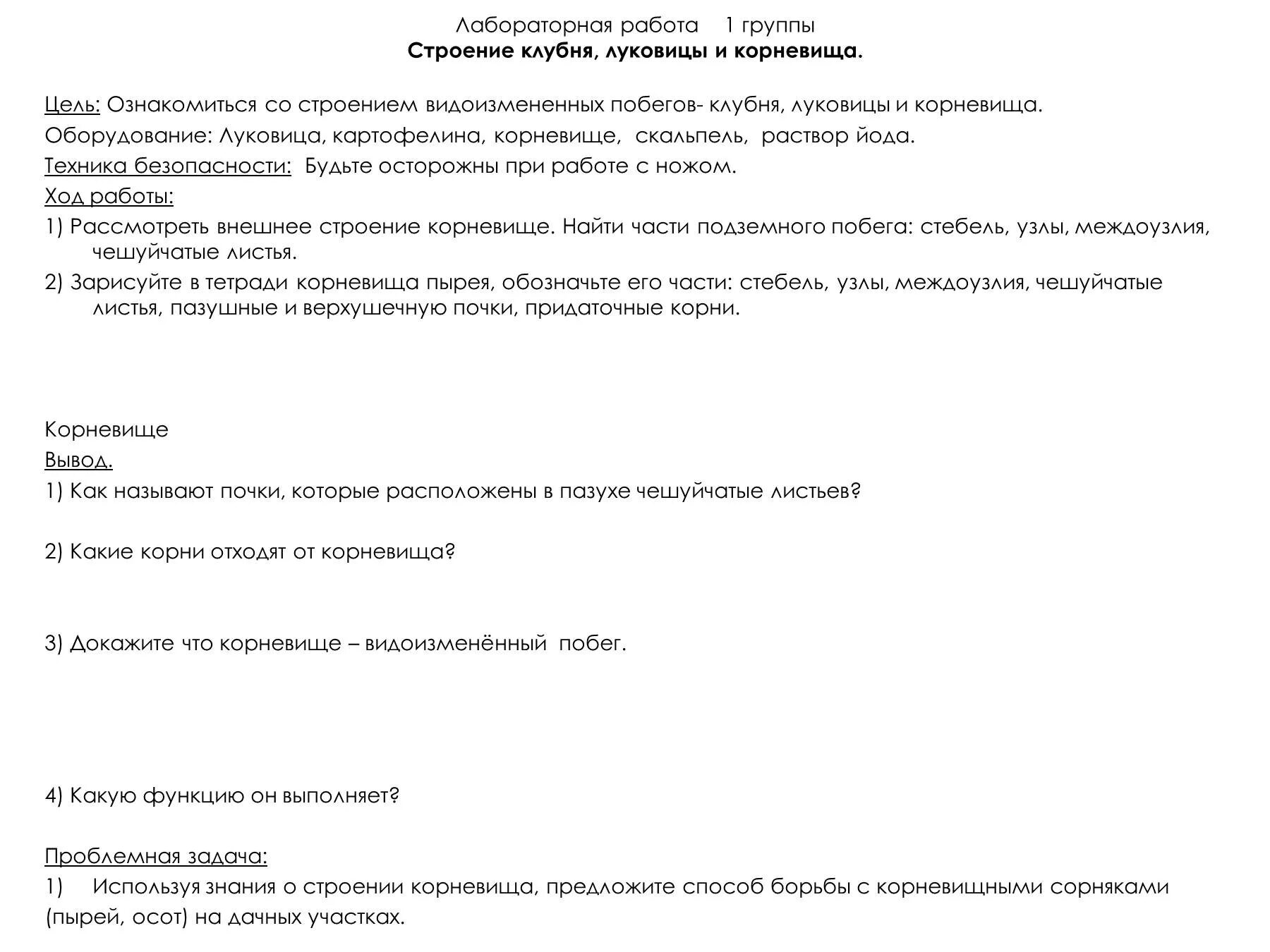 Исследование строения клубня и луковицы. Лабораторная работа строение клубня и луковицы. внешнее строение корневища клубня. лабораторная работа изучение корневивища клубня и луковицы. лабораторная работа строение луковицы клубня корневища.