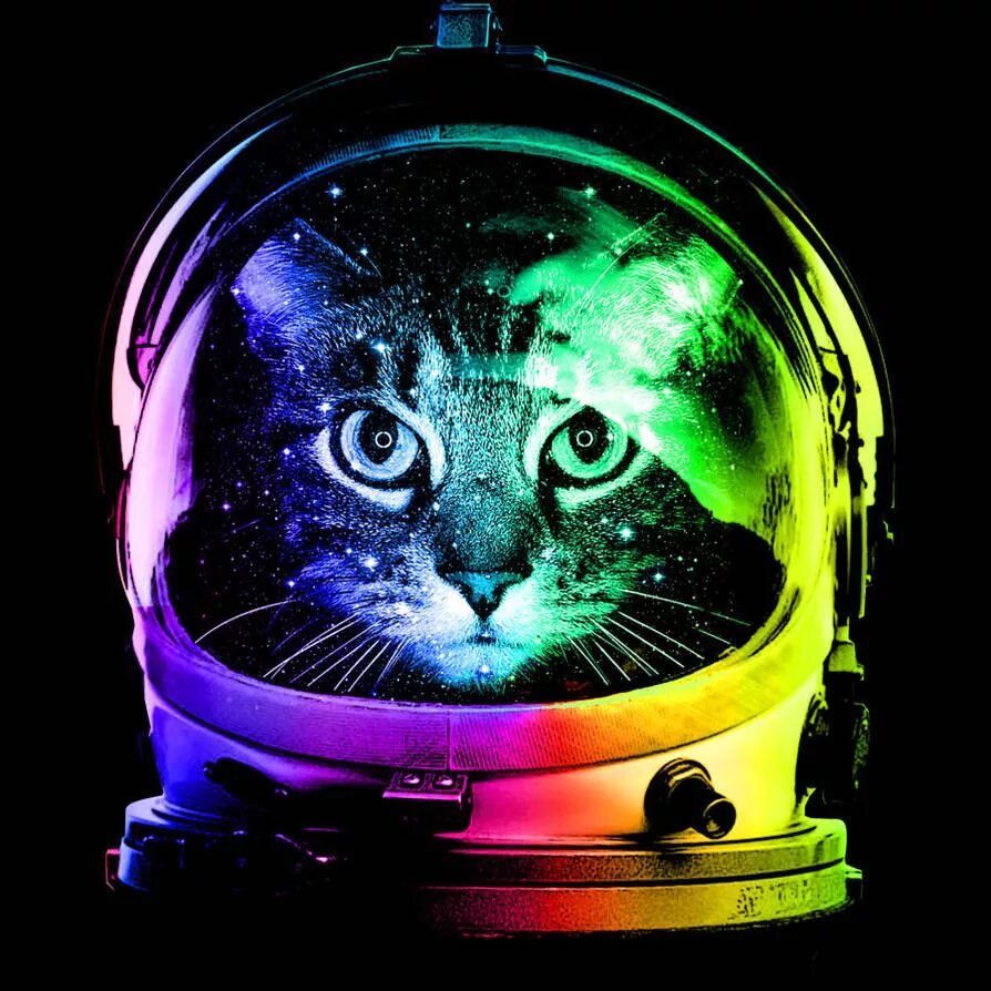 Кот космонавт. Космический кот. Неоновый кот. Крутые котики. Space 3 наушники