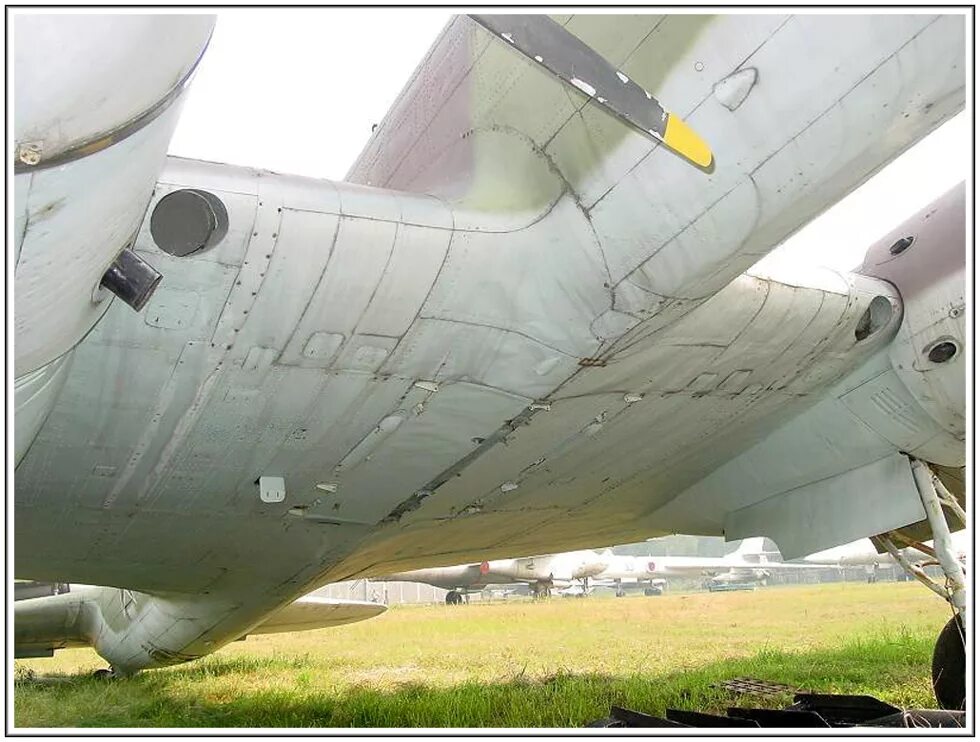 Дб-3т торпедоносец. Дб-3 торпедоносец. Самолёт дб-3т. Дб-3 (цкб-30) — дальний бомбардировщик. Т дб.