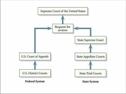 State in law