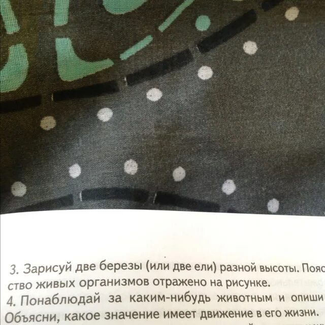 На рисунке представлены дрожжи какое свойство живых. Поясни какое свойство живых организмов ты отобразил на своем рисунке. зарисуй 2 березы разной высотой 5 класс биология.