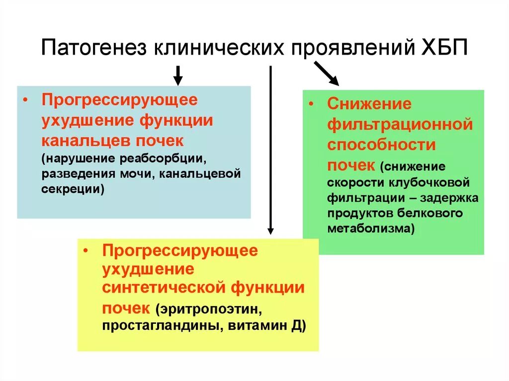 Механизм развития хронической почечной недостаточности. Хроническая болезнь почек патогенез. Патогенез развития хронической болезни почек. Хроническая болезнь почек механизмы развития. Патогенез почки