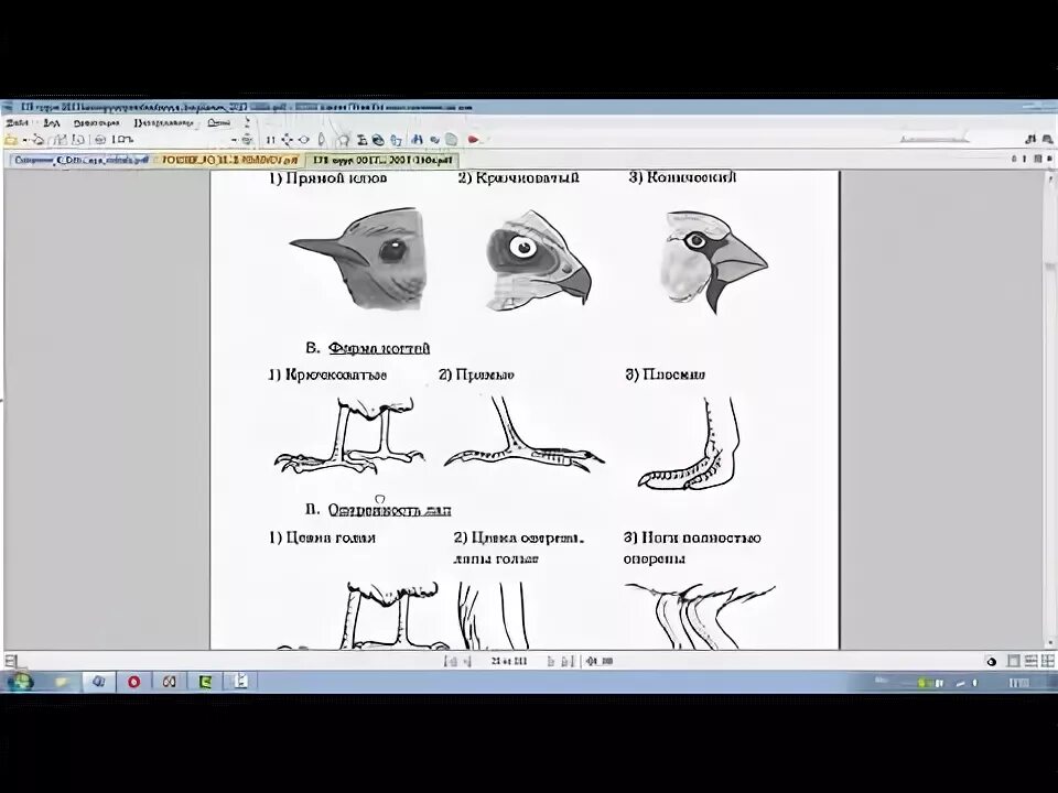 ОГЭ биология задание с лошадью. Биология видео уроки ОГЭ. Огэ биология скворцов