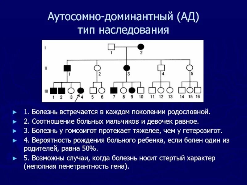 Рецессивный аутосомный ген в задаче. Родословная генетика аутосомно доминантный. схема родословной на аутосомно-доминантный тип наследования. аутосомно-доминантный тип наследования генеалогическое древо. аутосомный рецессивный тип наследования родословная.