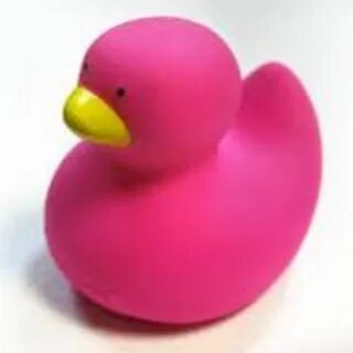 Розовая утка