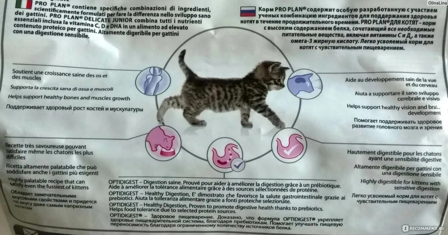 Через сколько кормят котят. Рацион питания котенка. Витамины для котят. Корм для стерилизованных кошек. Жидкое питание для котят.