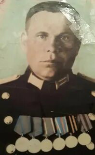 Д д васильевич