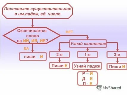 Племя в окончании существительного 1