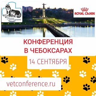 Avtoface