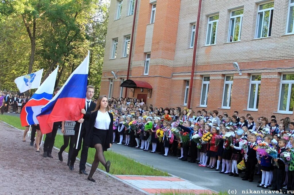 Школа 8 Волхов. Школа номер 8 город Волхов. Школа 6 Волхов. Школа номер 8 г. Волхов. Сош 8 отзывы