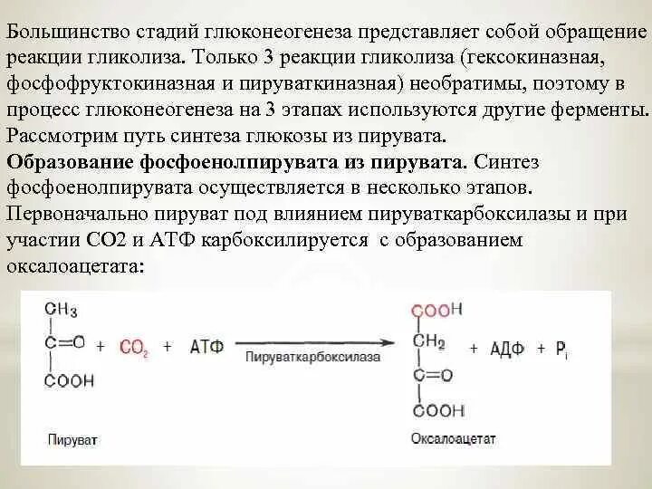 Смысл гликолиза заключается в. Пируваткарбоксилаза биохимия. глюконеогенез внутриклеточная локализация. внутриклеточная локализация гликолиза. глюконеогенез гексокиназная реакция.