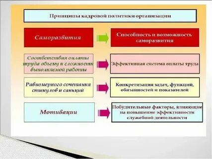 Общая политика организации это
