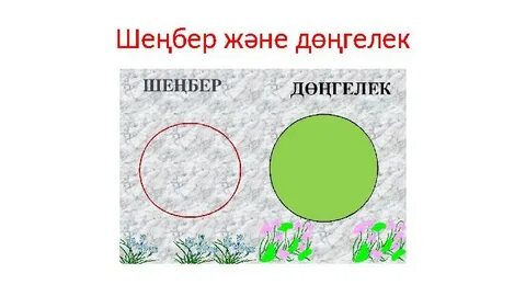 Жұмсақ және дөңгелек бөксе фотосуреттері