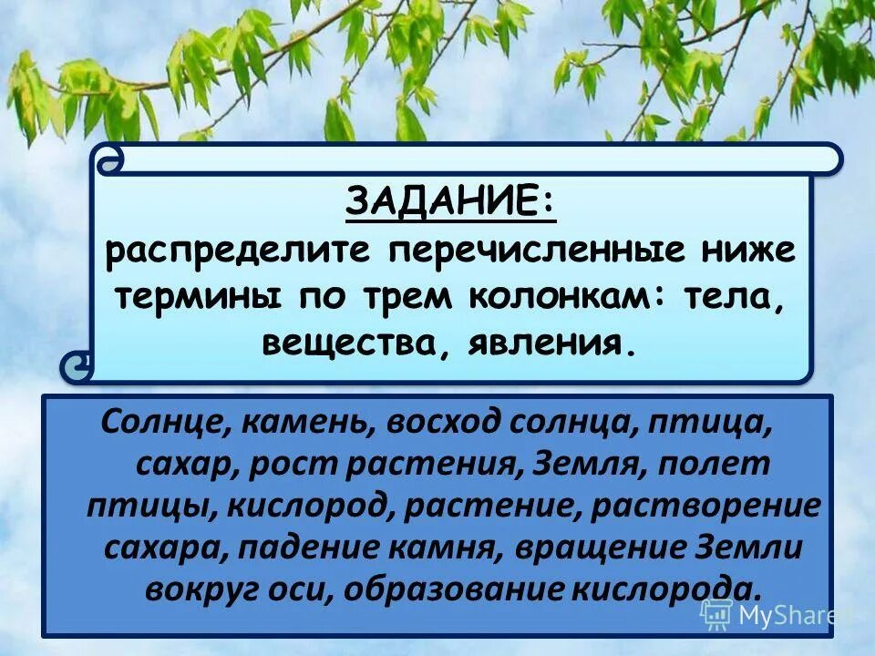 распределите перечисленные растения. растения деревья кустарники травы. экологические группы растений по отношению к воде. классификация высших споровых растений схема. дизненныеформ растений.