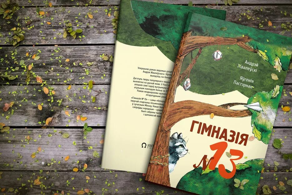 Цеховик книга 13. Гимназия номер 13 Жвалевский и Пастернак. Гимназия\ 13 обложка Пастернак.