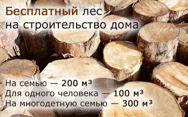 Заготовка леса. 150 кубов леса. Как получить бесплатный лес от государства на строительство. 15 кубов леса. Лес для строительства дома от государства.