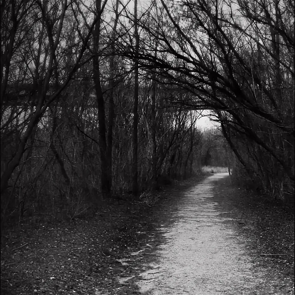 Dead path. Dead path