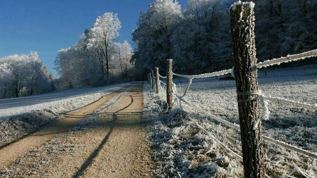 Трасса м5. Трасса м12 зима. Дорога февраль. Автодорога зимой. Дорога в лесу.
