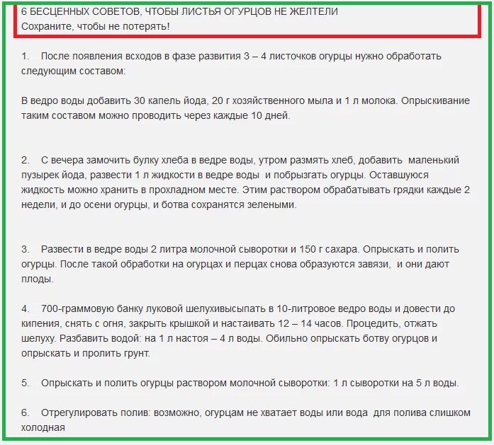 Как обработать огурцы и помидоры молоком. Полить огурцы чтобы не желтели листья. чтобы листья огурцов не желтели. чем опрыскать огурцы чтобы не желтели. опрыскивание огурцов.