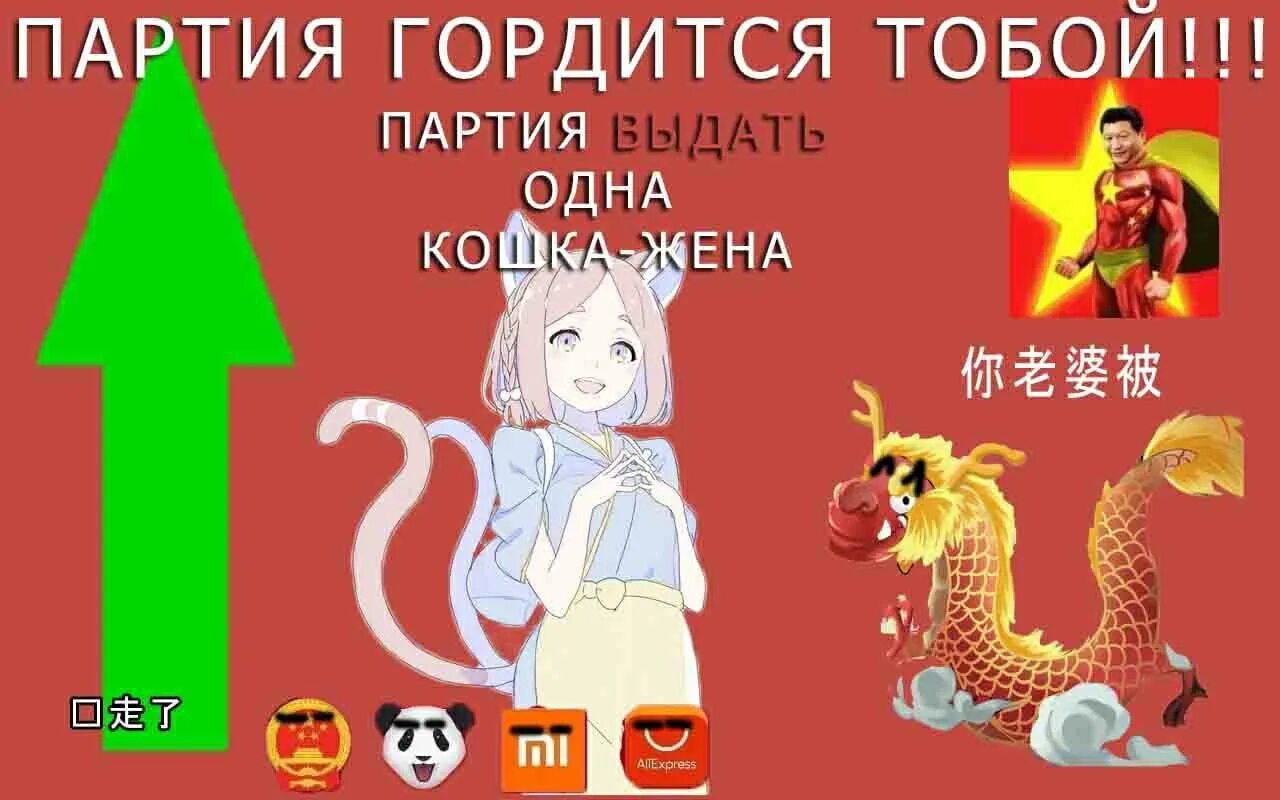 Партия давайте. Китайская партия гордится тобой мем. миска риса и кошка жена. партия гордится тобой партия выдать одна кошка жена. партия выдать одна кошка жена.