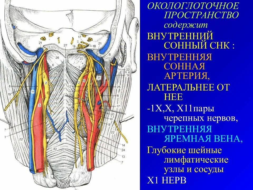 Внутренним содержащим