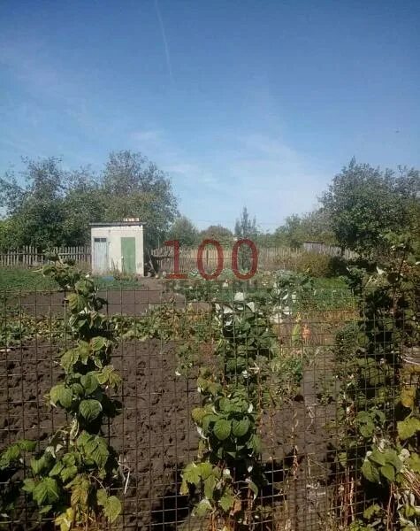 Снт заря 2 липецк. Ворота снт заря 50. Снт заря липецк. Снт заря 2 липецк. Садовое общество заря великие луки.