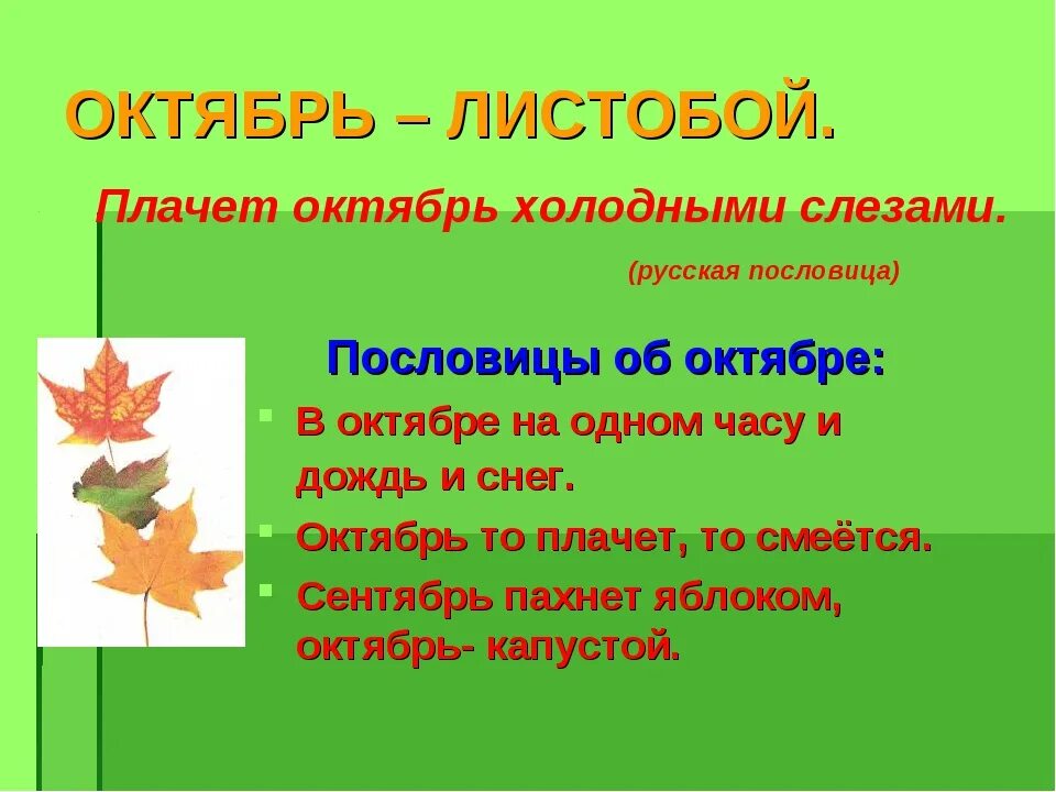 Октябрь первый холодный месяц осени впр. Пословицы про октябрь. Пословицы и поговорки про октябрь. Пословицы протоктябрь. Пословицы про октябрь для детей.