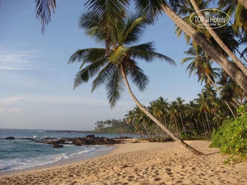 Paradise хиккадува. Хиккадува шри ланка. тангалле шри ланка. пляж хиккадува шри ланка. пляж ваддува шри ланка.